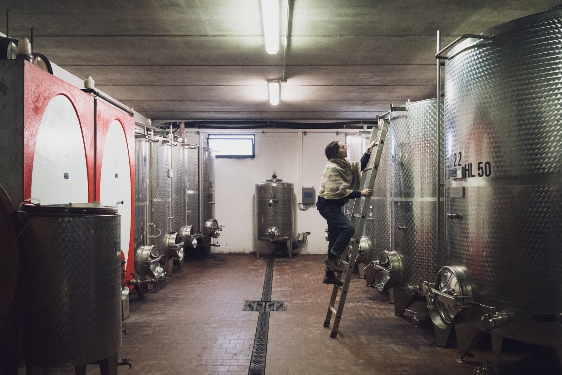 Work among the steel tanks in the cellar