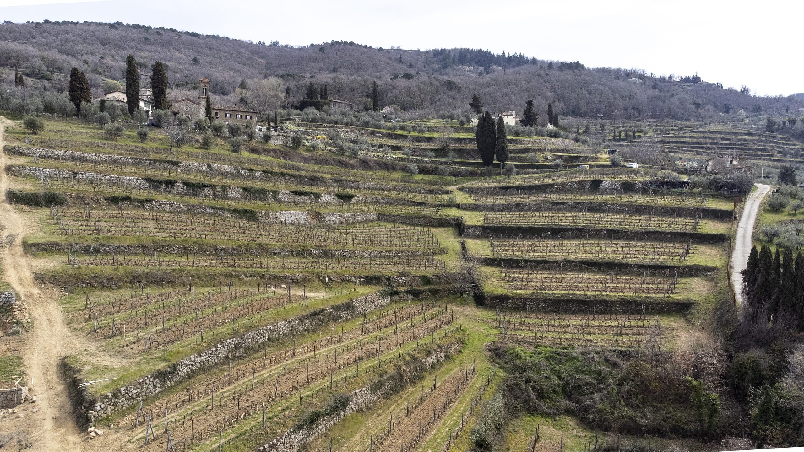 Terraced vineyards at Lamole from the air