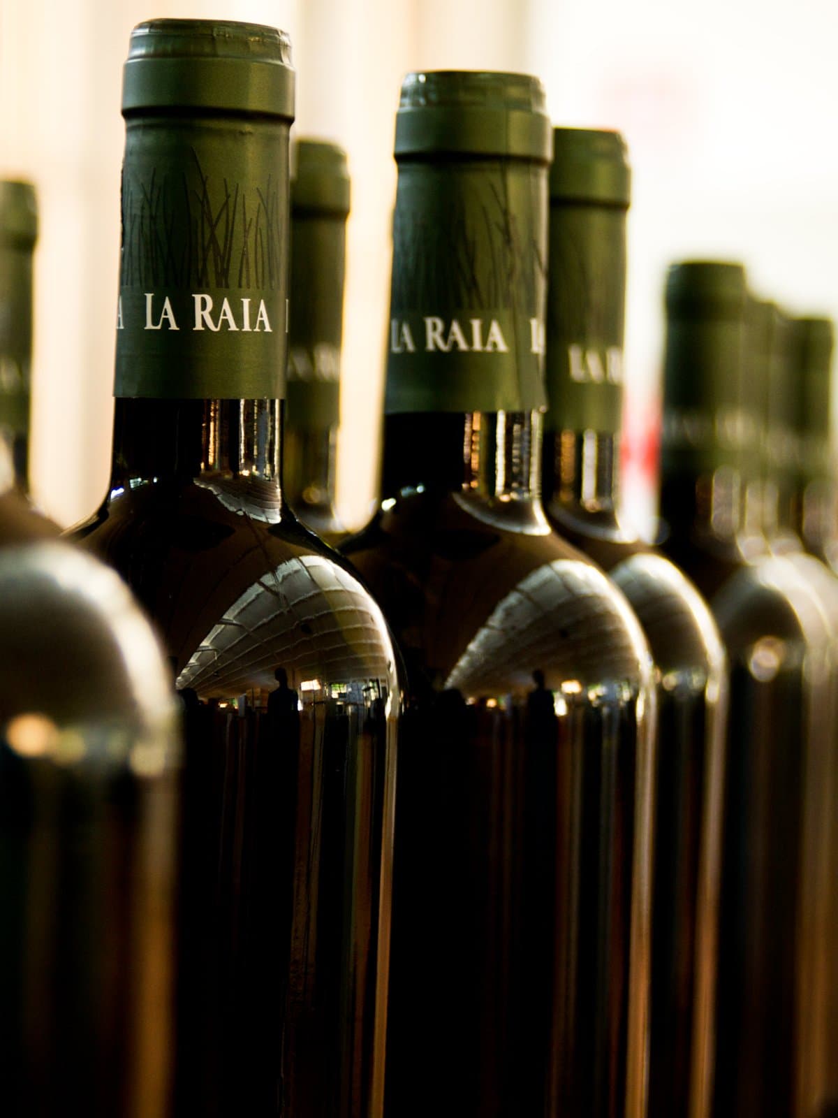 Bottles of La Raia lined up in the cellar